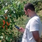 PCH Lavrinhas – Alupar