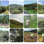 PCH Lavrinhas- Alupar